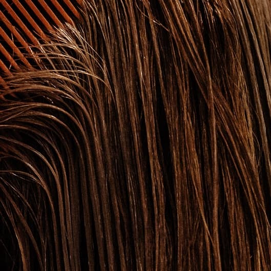 Blowout Membership at Hair Haus in Englishtown, NJ